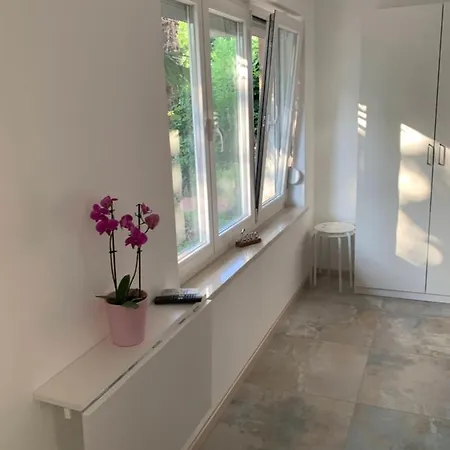 Sheltered Oasis In Apartment
